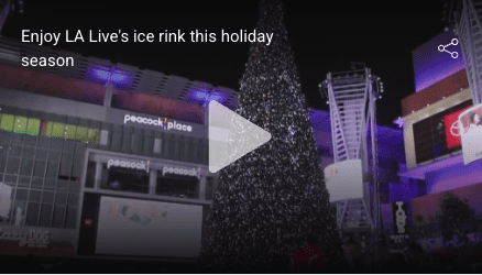 LA Live's ice rink, holiday season.